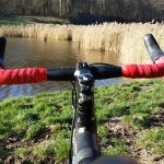 Greffes de Gravel sur Rose CX …