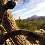 Maxxis Rambler un pneu spécifique pour le Gravel Bike Café