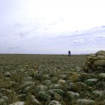 Gravel ride dans le vent de la Crau … Bike Café