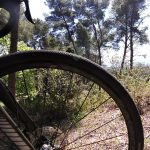 Schwalbe G-One un pneu de Gravel performant Bike Café