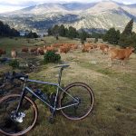 Les pneus de Gravel tirent aux flancs … beiges Bike Café