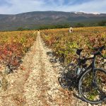 Gravel et Cols Mythiques : Le Mont Ventoux… Bike Café