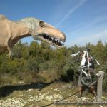 Des “ho !” et débats … Serge Barnel combat des idées reçues