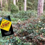 Comment chier dans les bois ? … Comment chier dans les bois