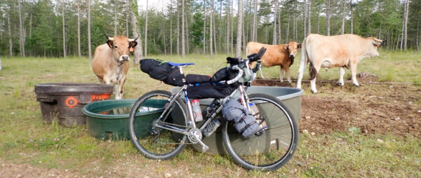 Bikepacking Gravel Adventure pannier pack cycling gravel touring