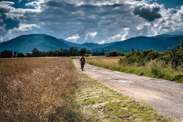 Tour Massif Vosgien