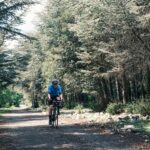 Dans le silence de la forêt des cèdres avec le Trek Domane+ SLR 6 Le silence de la forêt des cèdres avec le Trek Domane + SLR 6