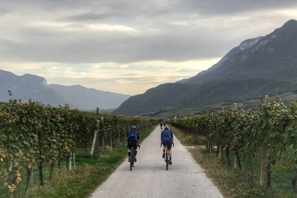Q36.5 Cycling Apparel made in Italy Dolomiti Alto Adige grapes wineyard