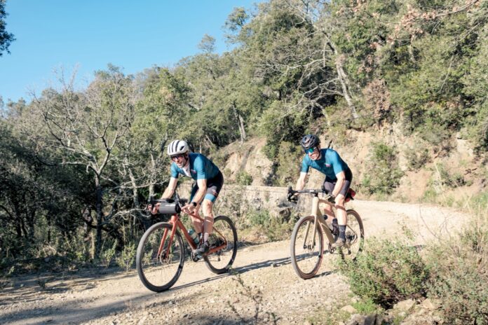 Polygon Bikes