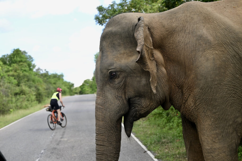 BikingMan Sri Lanka