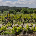 Moustache dévoile le Dimanche 28 Road et Dimanche 29 Gravel pour profiter davantage de la route et du gravel Moustache Dimanche 28 Route électrique moteur Bosch