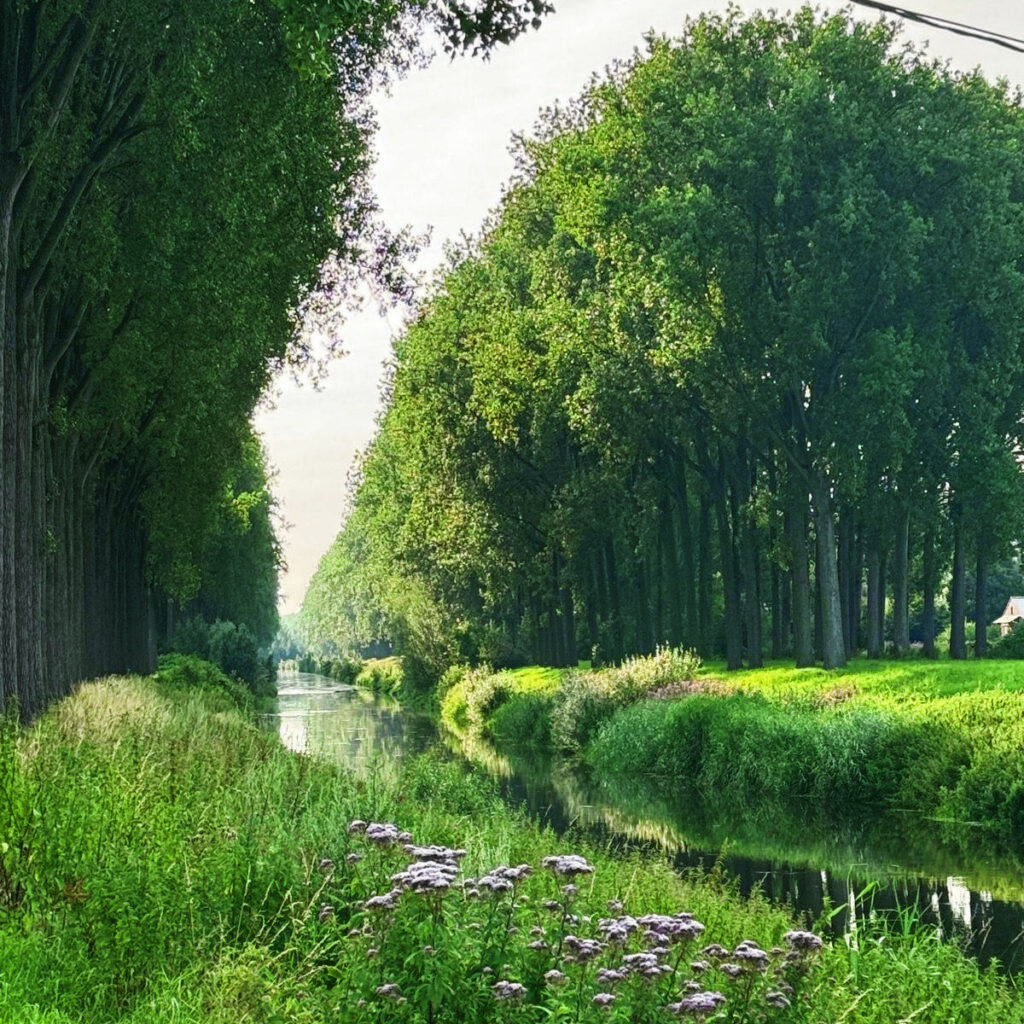 Tour de Belgique