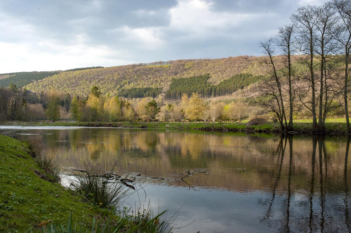 Hautes-Fagnes