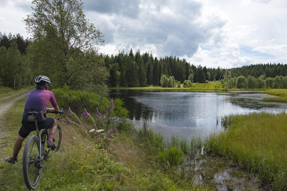 Hautes-Fagnes