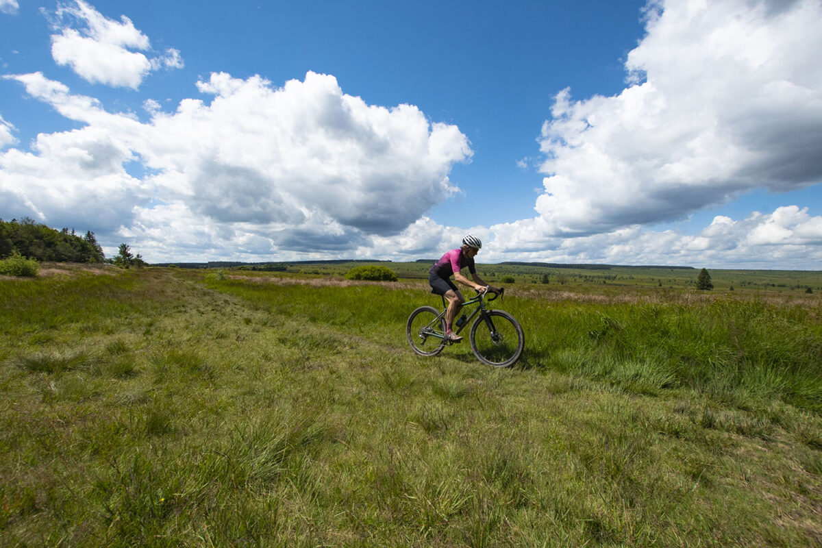 Hautes-Fagnes