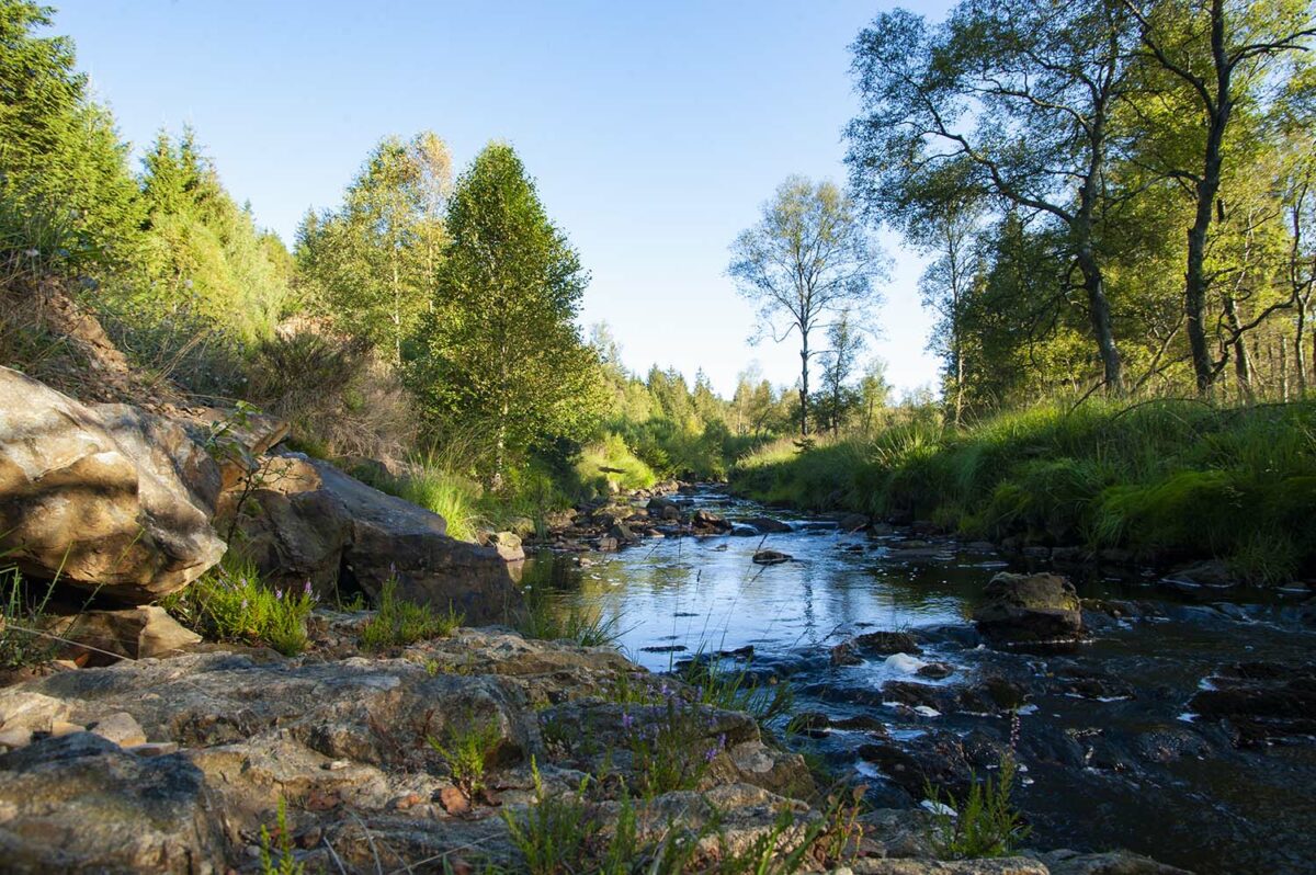 Hautes-Fagnes