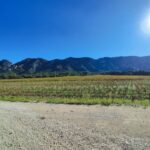 Le Raid des Alpilles : du soleil, des cailloux et du gravel
