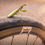 Roues Duke Baccara RX, dévoreuses de kilomètres JPRacing roues Baccara RX gravel road wheels cycling bespoke Duke Custom built