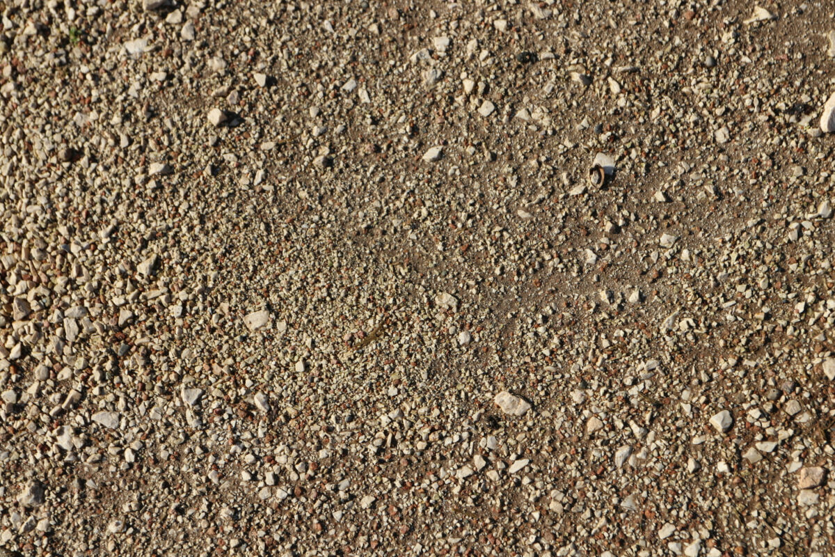 Vittoria gravel - terrain facile "Fine Loose"
