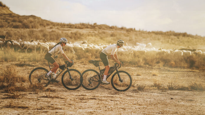 Nouveau Gravel Mondraker Arid