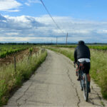 Comme un lundi : on n’est jamais perdu, si on ne sait pas où on va où on va