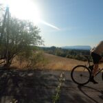 Comme un lundi : baigné de lumière baigné de lumière