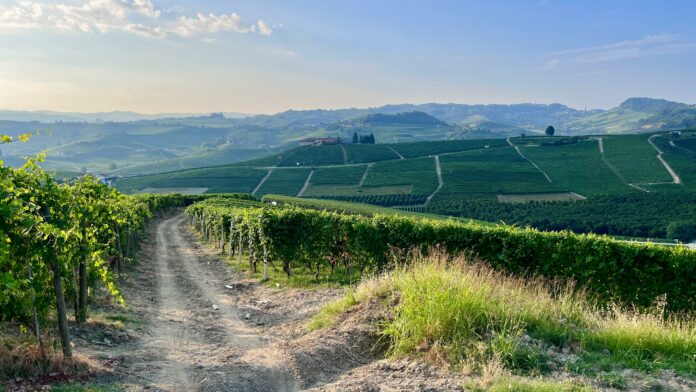 WhatsApp Image 2025-10-07 à 09.16.15_ff34c35d