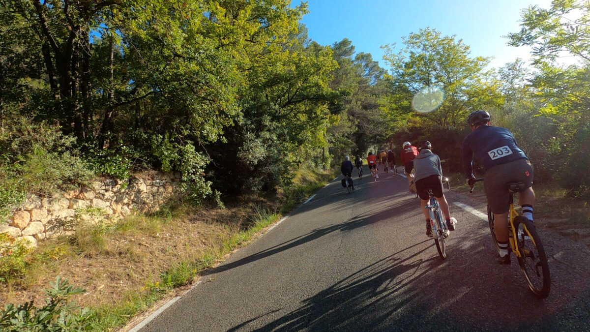 Cezanne Cyclo Classic