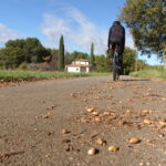 Comme un lundi : envie de glander Comme un gland