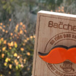 Comme un lundi : moustachus et engagés pour Movember Movelmber
