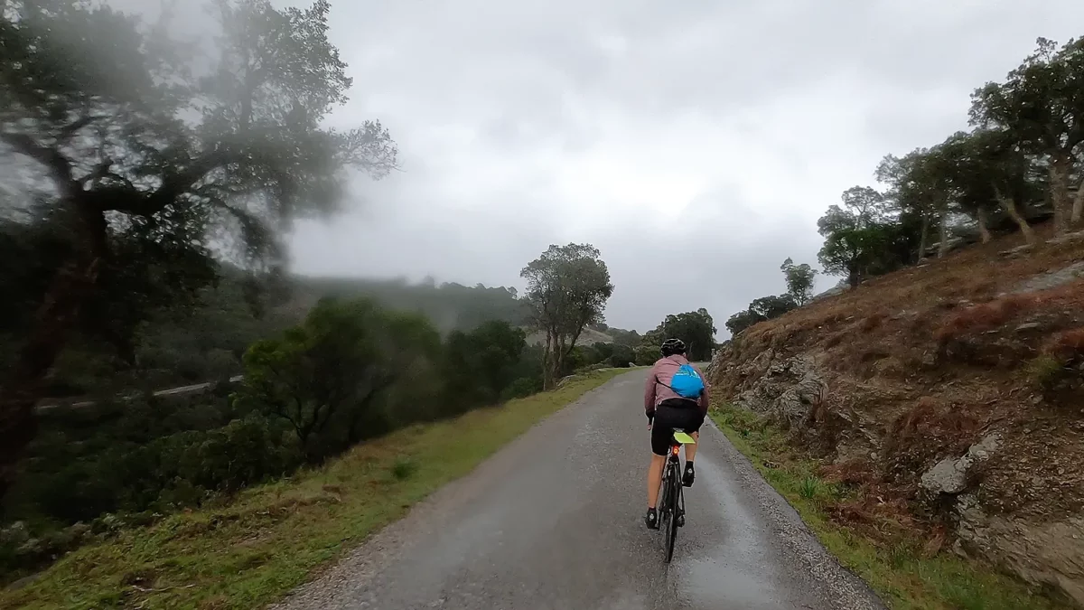 Le renouveau des BRM