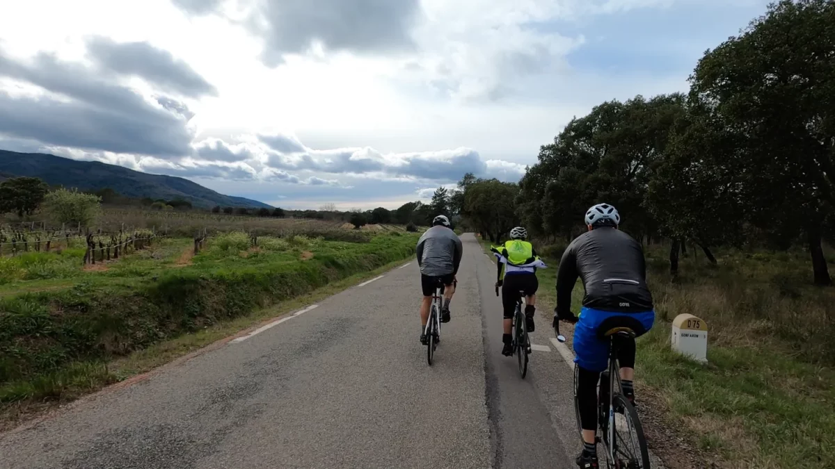 Le renouveau des BRM