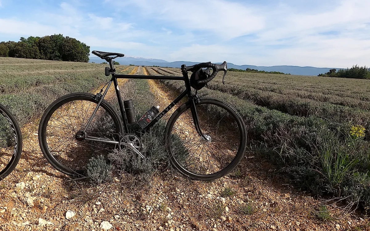 Selle Italia Flite