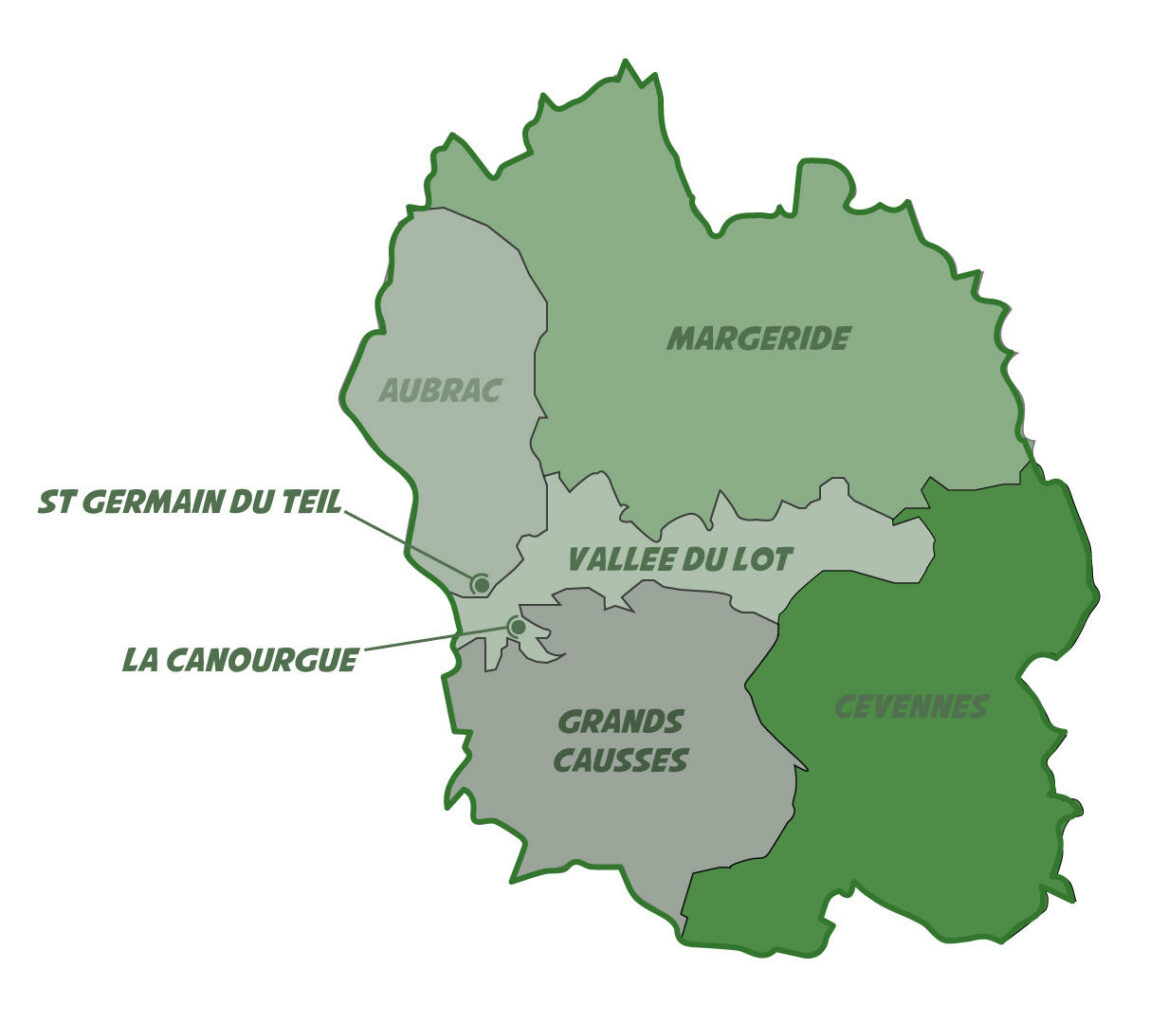 Gravel'Tour Wish One