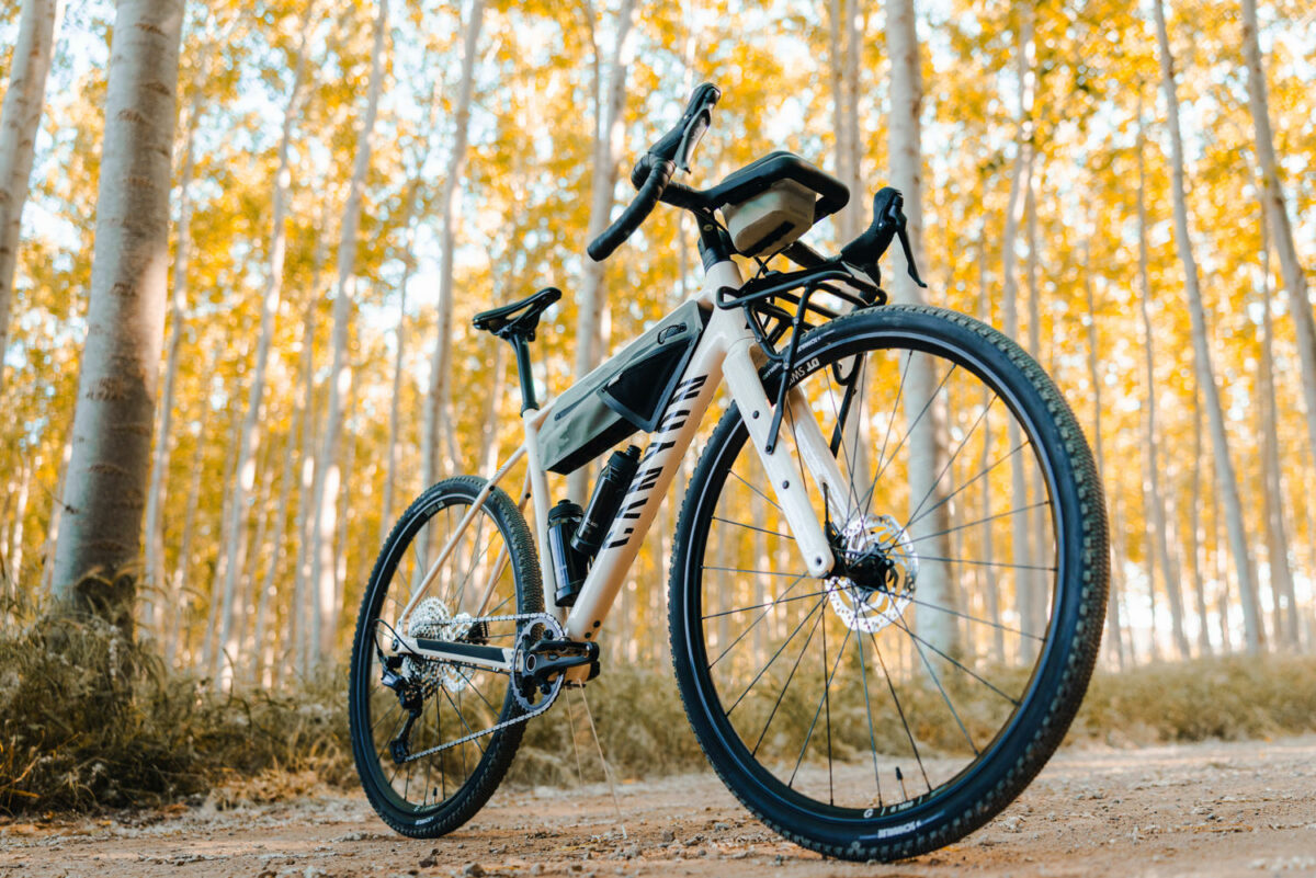 Canyon GRIZL AL