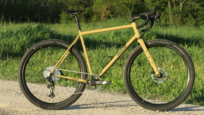 Dilecta Samara