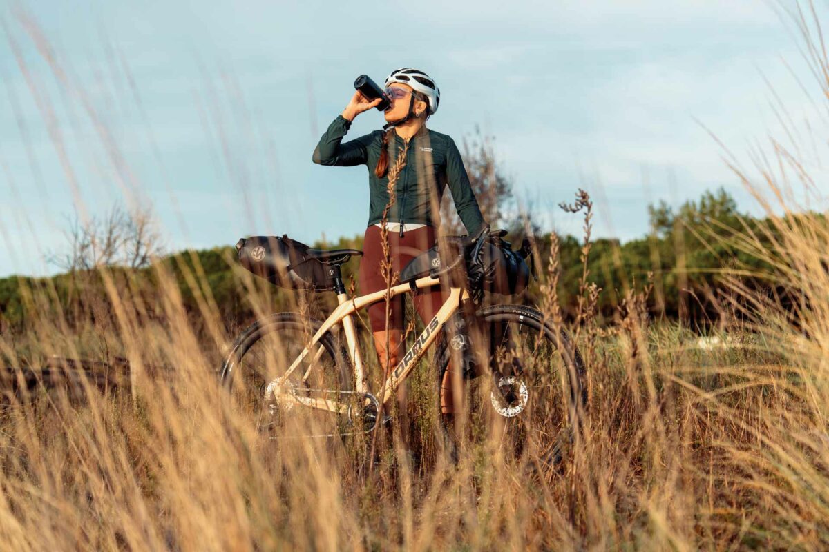 Vélos en bois