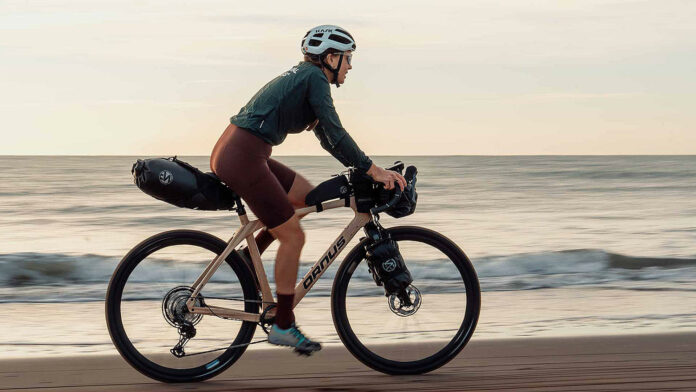 Vélos en bois