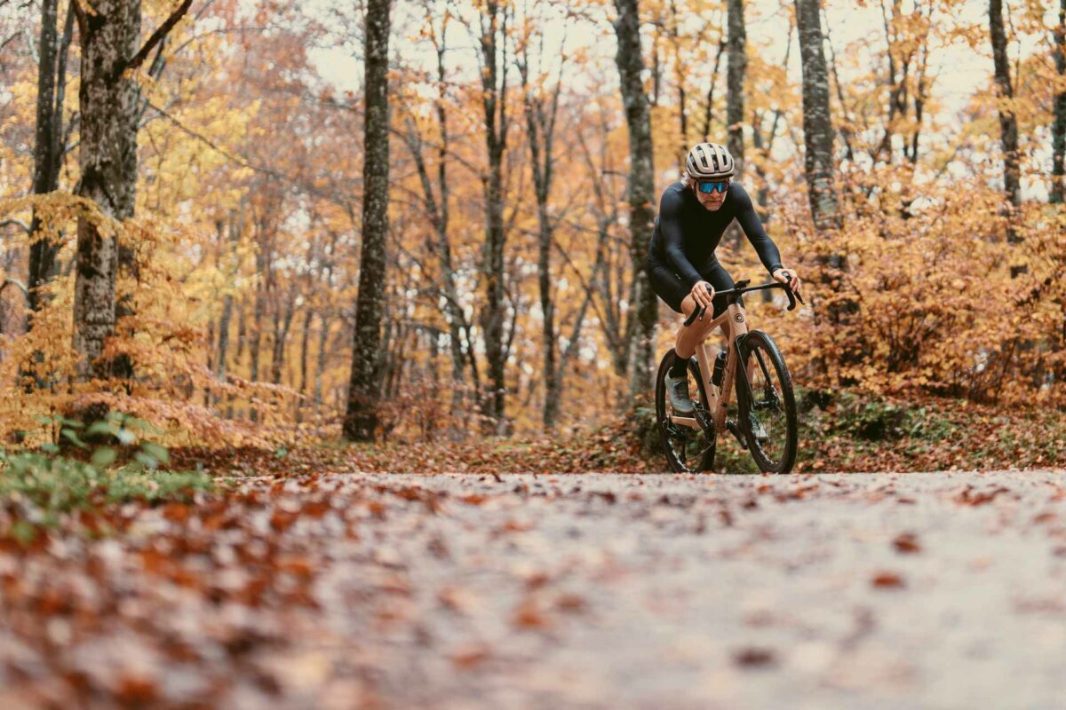 Vélos en bois