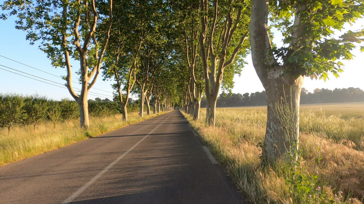 Comme un lundi