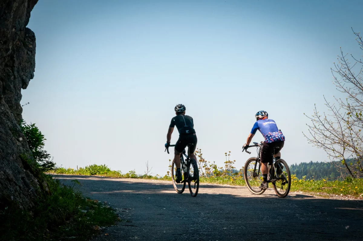 Sur la route forestière des Feneys