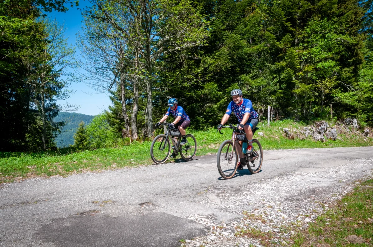 Sur la route forestière des Feneys