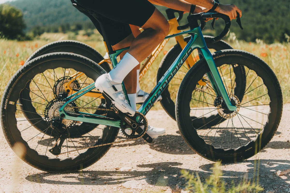 Mondraker Arid carbone