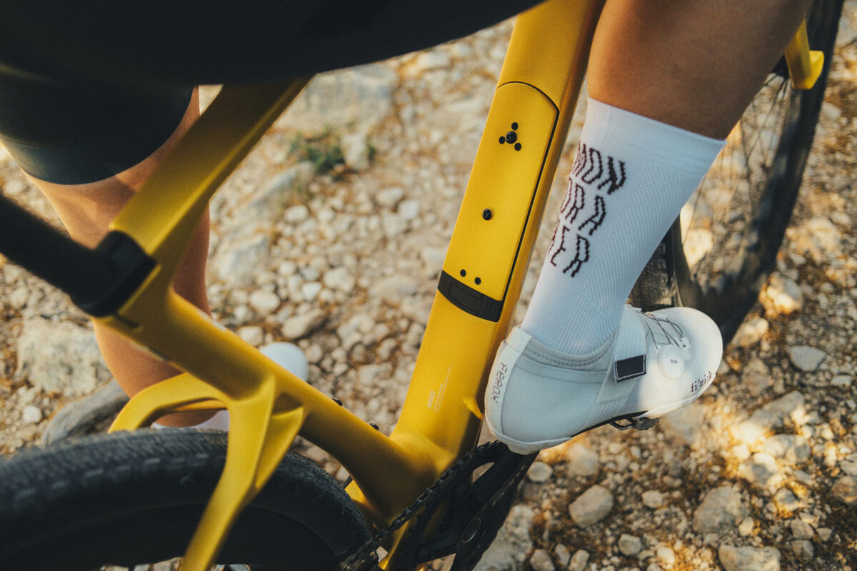 Mondraker Arid