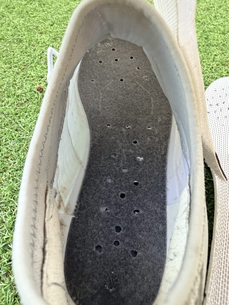 Fizik Ferox 2