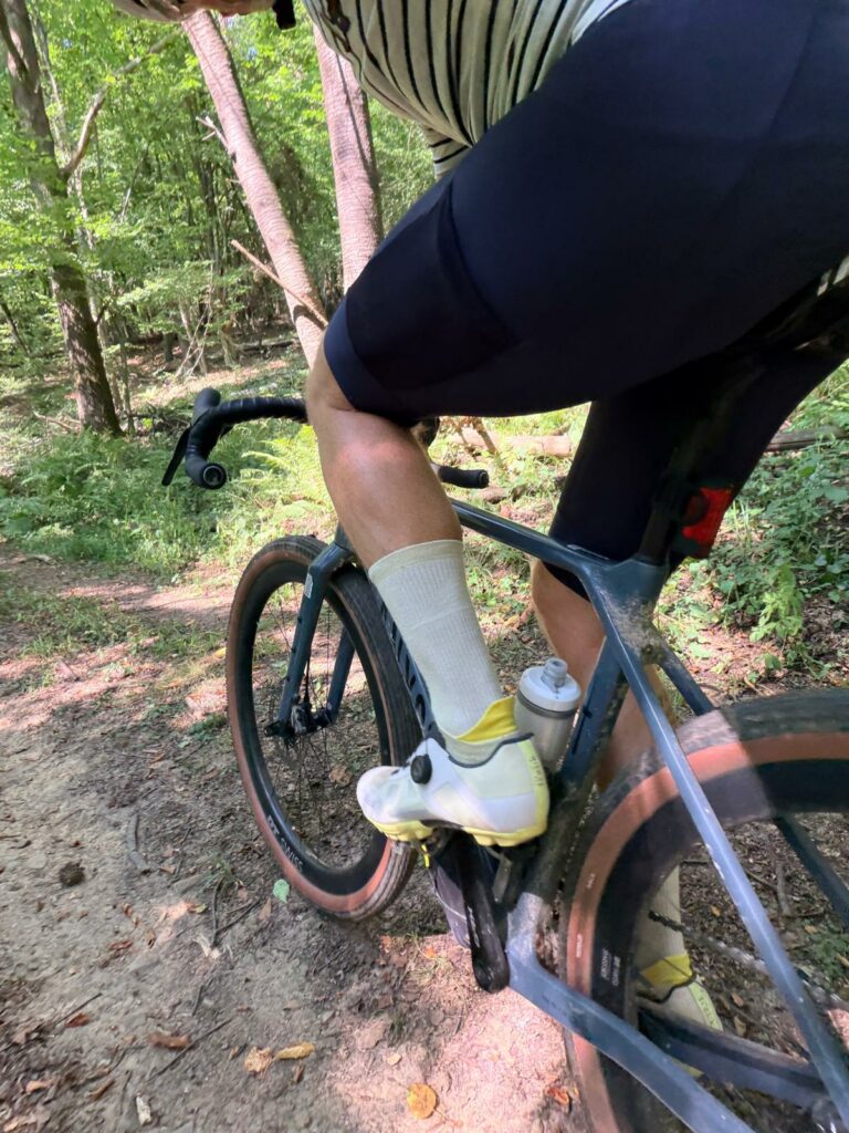 Fizik Ferox 2