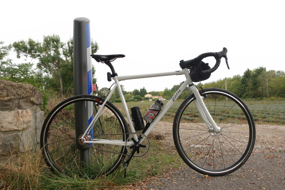 Single Speed Mania
