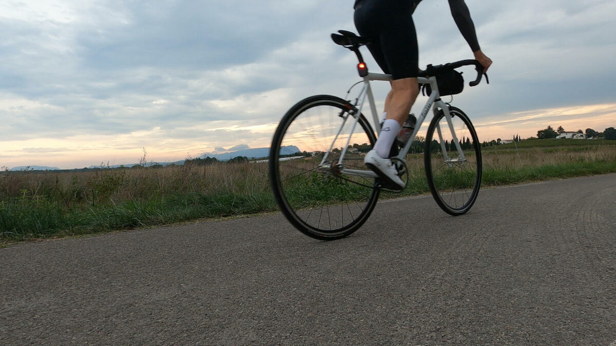 Single Speed Mania
